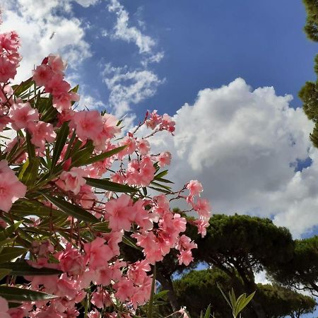 Romea Family Camping Casal Borsetti Bagian luar foto