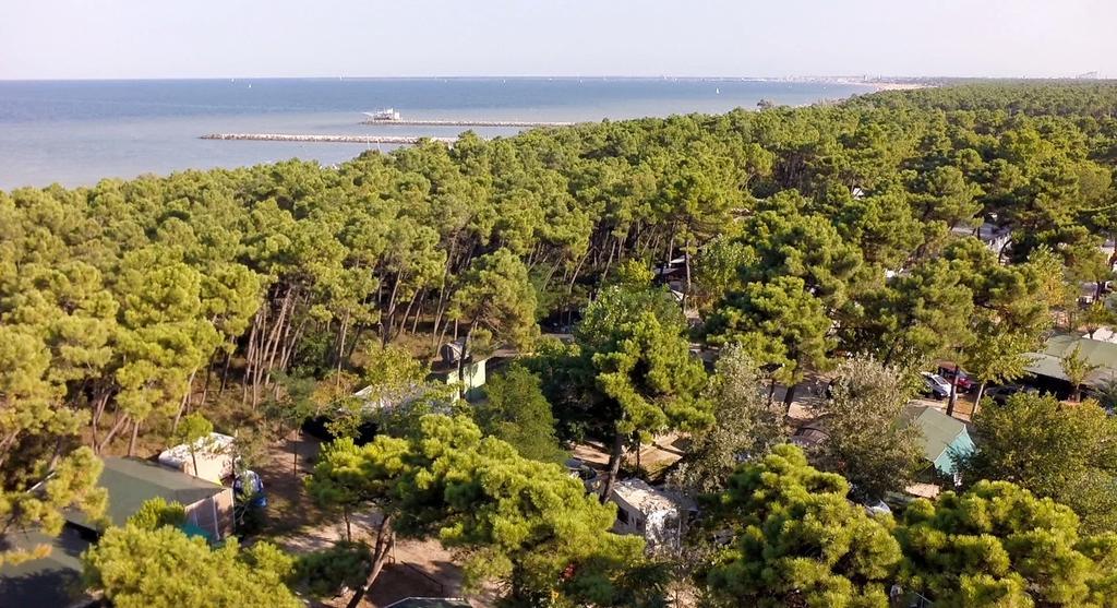 Romea Family Camping Casal Borsetti Bagian luar foto